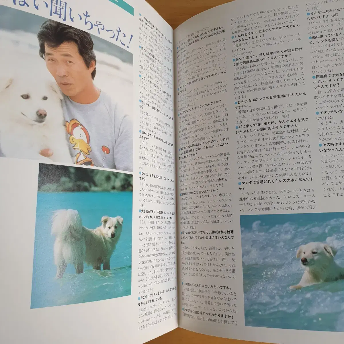 thumbnail-10